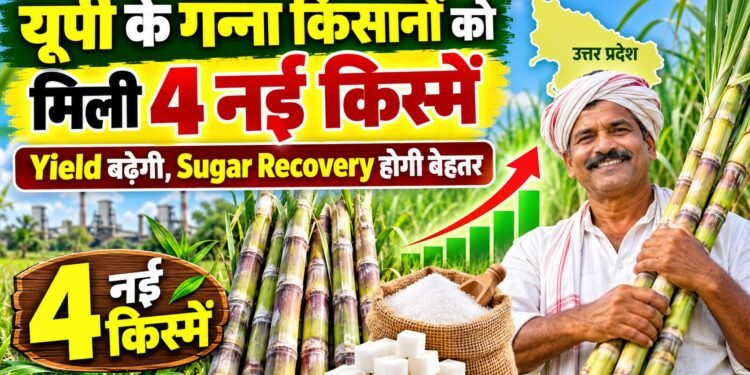 UP Sugarcane Farmers