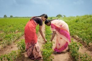 Women Farmers Empowerment