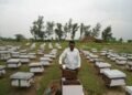 Starting with just 0.4 hectares of land, beekeeping has created a rural enterprise worth ₹3 crore annually.