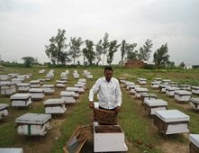 Starting with just 0.4 hectares of land, beekeeping has created a rural enterprise worth ₹3 crore annually.
