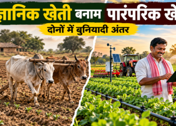 वैज्ञानिक खेती