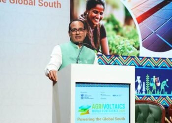 Solar panels above, crops below, agrivoltaics to boost farmers' income