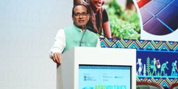 Solar panels above, crops below, agrivoltaics to boost farmers' income