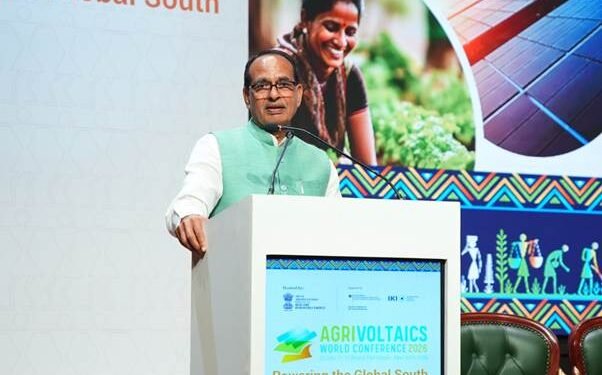 Solar panels above, crops below, agrivoltaics to boost farmers' income