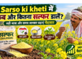 Sarso ki kheti