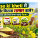 Sarso ki kheti