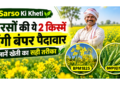 sarso ki kheti