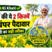 sarso ki kheti