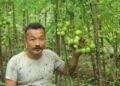 Norbu Tsering Lepcha, a Lepcha farmer from Sikkim, has written a new success story by producing organic tomatoes in a polyhouse.