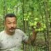 Norbu Tsering Lepcha, a Lepcha farmer from Sikkim, has written a new success story by producing organic tomatoes in a polyhouse.