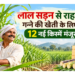 sugarcane