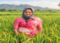 The picture of women farmers has changed: Women are becoming entrepreneurs through hybrid seed production, two farmers from Telangana set an example.