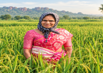 The picture of women farmers has changed: Women are becoming entrepreneurs through hybrid seed production, two farmers from Telangana set an example.