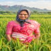 The picture of women farmers has changed: Women are becoming entrepreneurs through hybrid seed production, two farmers from Telangana set an example.