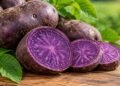 Kufri Jamunia Purple Potato