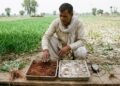 किसान खेत की मिट्टी की जांच करते हुए, मिट्टी के pH और पोषक तत्वों की उपलब्धता का महत्व