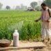तरल खाद, दानेदार खाद और नैनो उर्वरक में अंतर