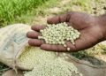 भारत के यूरिया आयात टेंडर में कीमतों में गिरावट और उर्वरक आपूर्ति