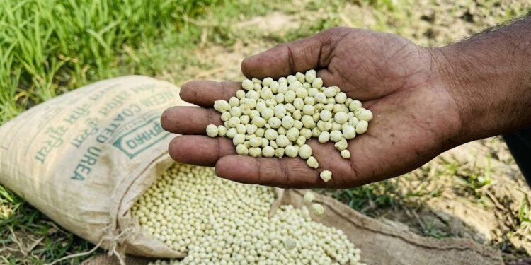 भारत के यूरिया आयात टेंडर में कीमतों में गिरावट और उर्वरक आपूर्ति