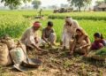 रबी सीजन में उर्वरक और यूरिया का मजबूत स्टॉक
