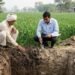 रासायनिक खाद का मिट्टी की सेहत पर दीर्घकालीन असर